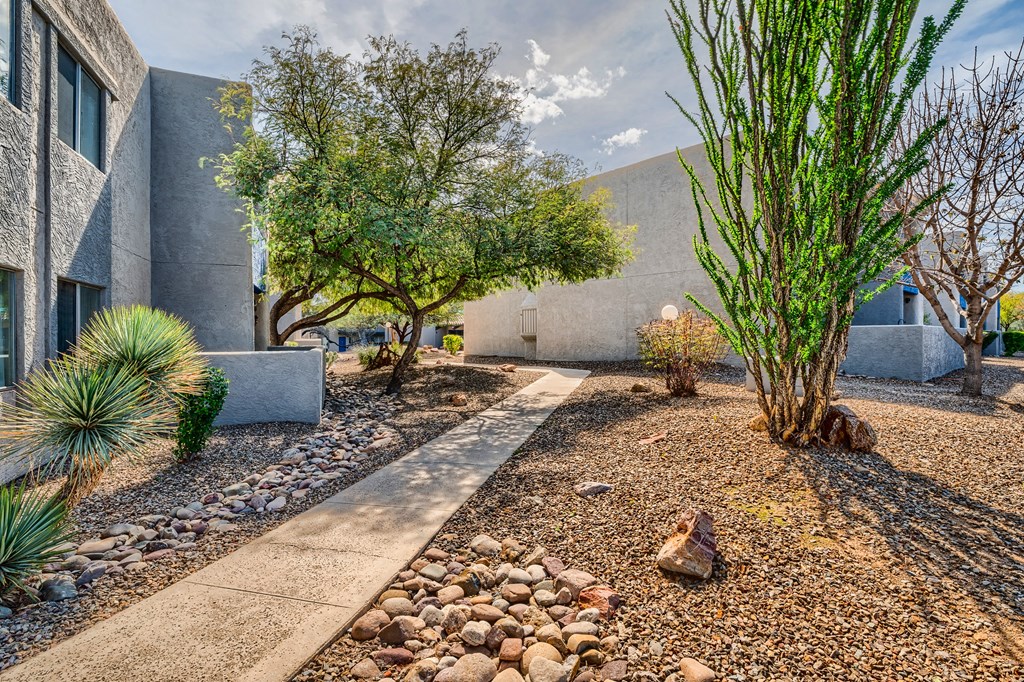 a courtyard with trees and rocks and a building
