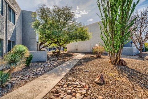 a courtyard with trees and rocks and a building
