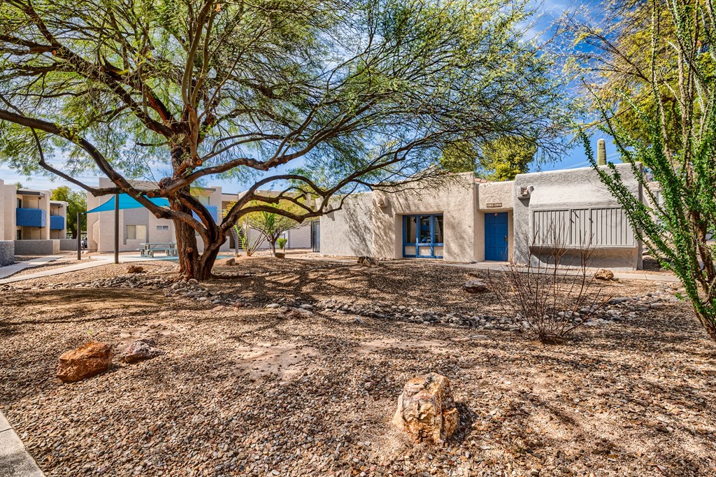 a house with a yard and a tree in front of it