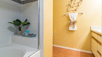 Arboretum Shower Tub combo with shelving - Photo Gallery 25