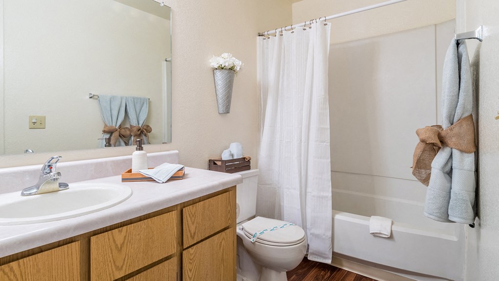 Canyon creek bathroom with shower tub combo and sink