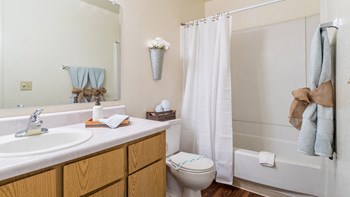 Canyon creek bathroom with shower tub combo and sink - Photo Gallery 13