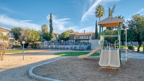 Somerpointe Lush Landscape and Pathway