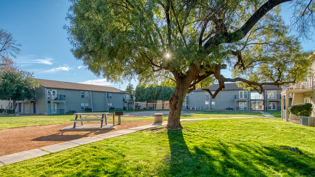 Somerpointe's lush landscape with picnic chairs.