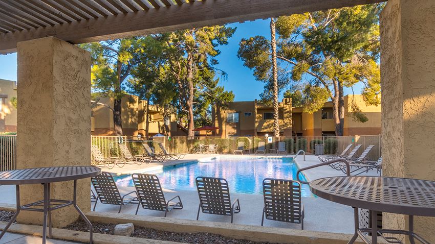 Rio Vista outside view of pool with plenty of lounging area and trees surrounding