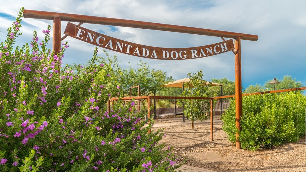 a sign that reads the entrance to the encyclopaedia dog ranch
