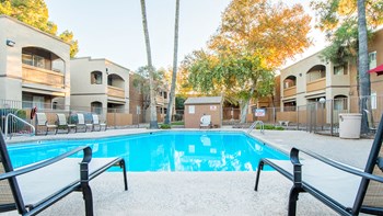 Tanglewood pool view with relaxation area and tall trees surrounding - Photo Gallery 2