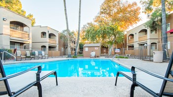 Tanglewood pool view with relaxation area and tall trees surrounding - Photo Gallery 2