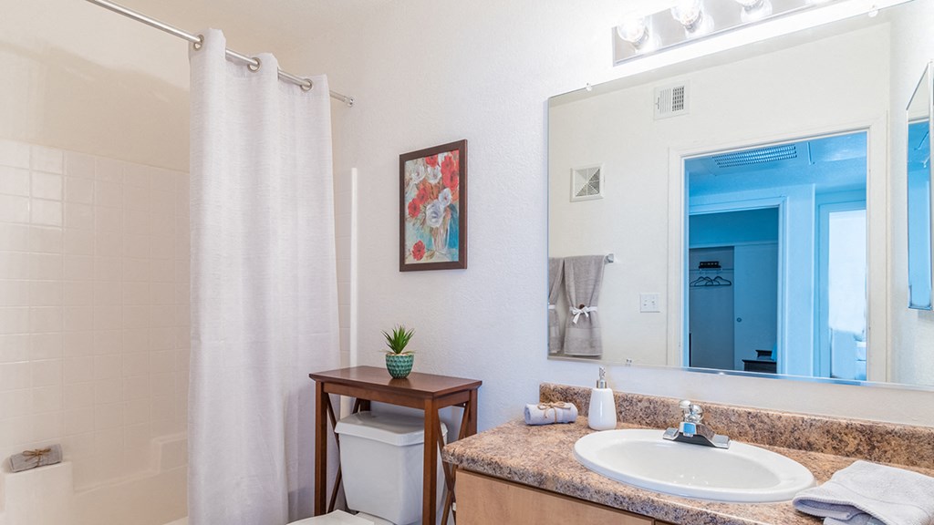 Desert Sands vanity sinks in bathroom.