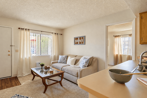 A living room with a couch, coffee table, and a bowl on the table.