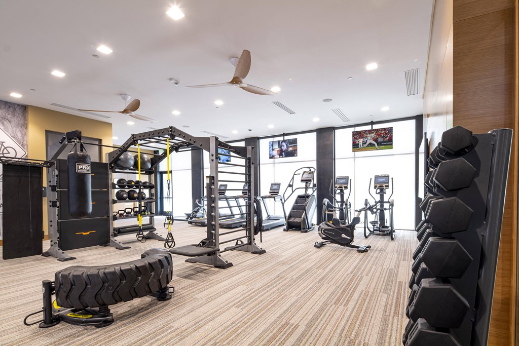 a gym with weights and cardio machines and a ceiling fan