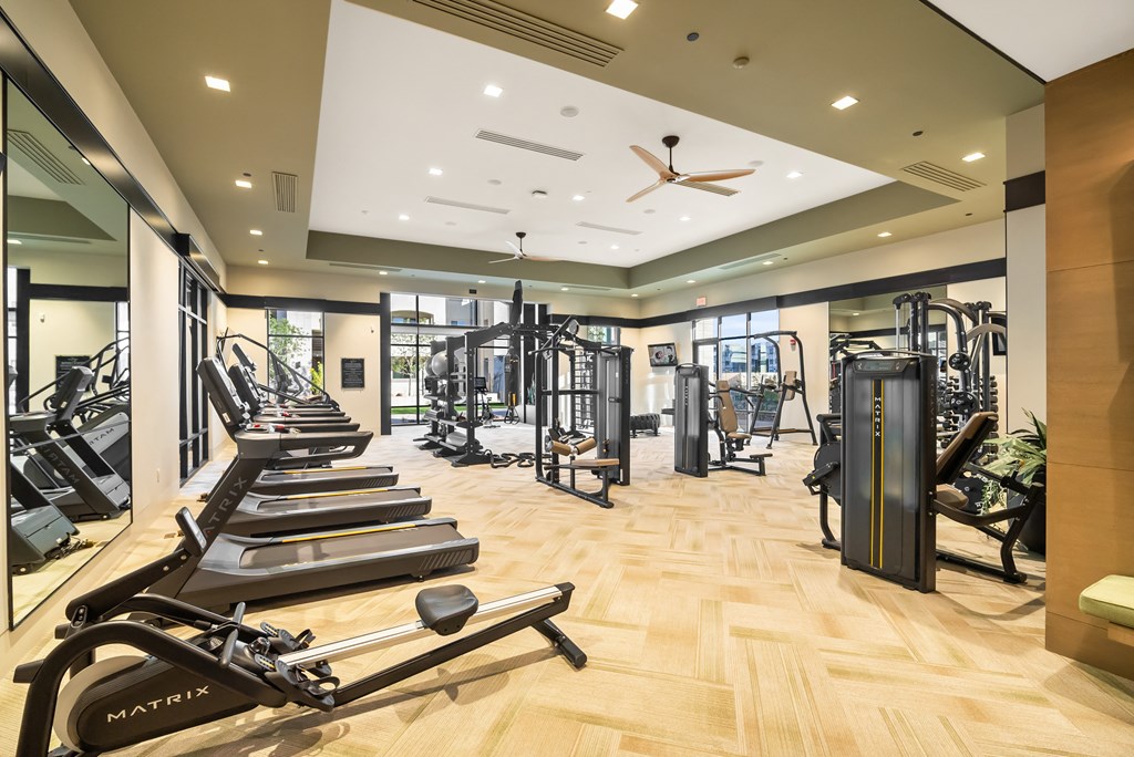 A gym with a variety of equipment including treadmills, weights, and a ceiling fan.