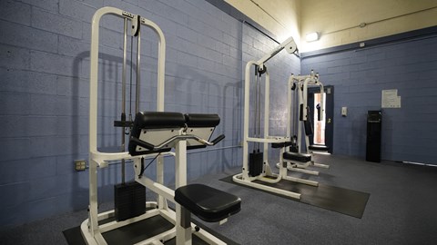 A gym with a row of weight machines.