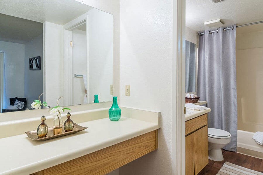Ridgepointe bathroom with shower tub combo and nice vanity sink