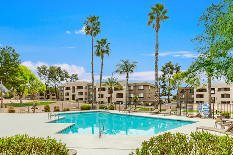 A swimming pool surrounded by palm trees and apartment buildings.