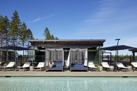 a pool with chairs and umbrellas and a canopy above it