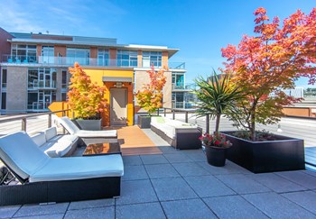 975 John St Studio-1 Bed Apartment for Rent - Photo Gallery 4