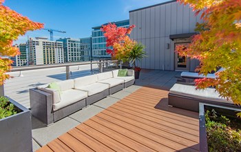 975 John St Studio-1 Bed Apartment for Rent - Photo Gallery 5