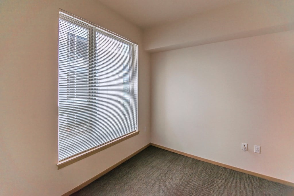 an empty bedroom with a large window and carpeting