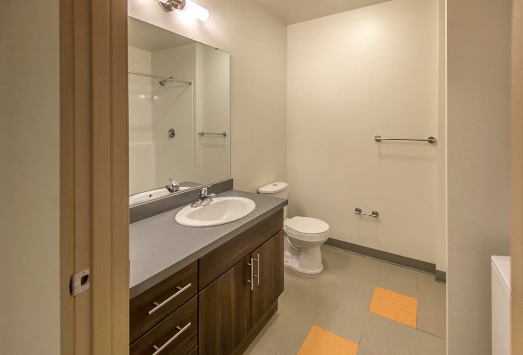a bathroom with a sink and a toilet and a mirror