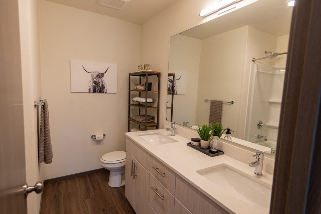 a bathroom with a sink and a toilet and a mirror