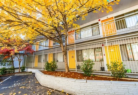 the building in which the apartment is located