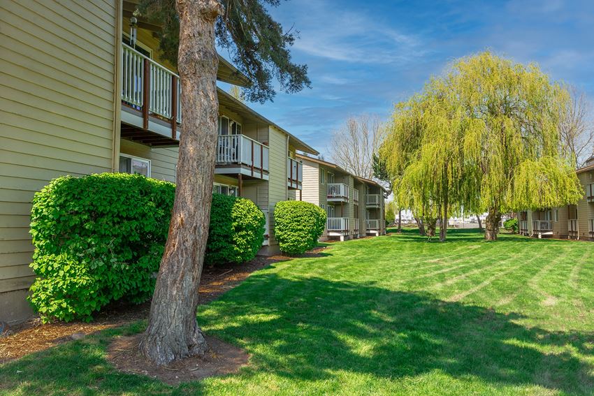 a grassy area with trees and bushes in front of an apartment building - Photo Gallery