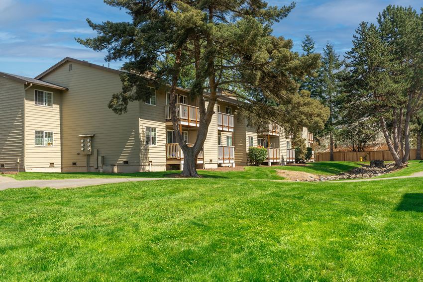 a grassy area with trees and buildings in the background - Photo Gallery