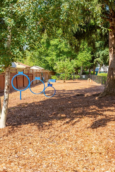 A playground with a blue circle drawn on the ground.