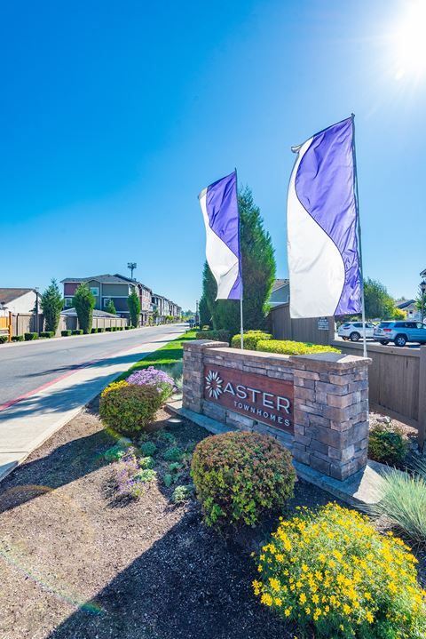 a sign that says master condos with purple and white flags in front of it