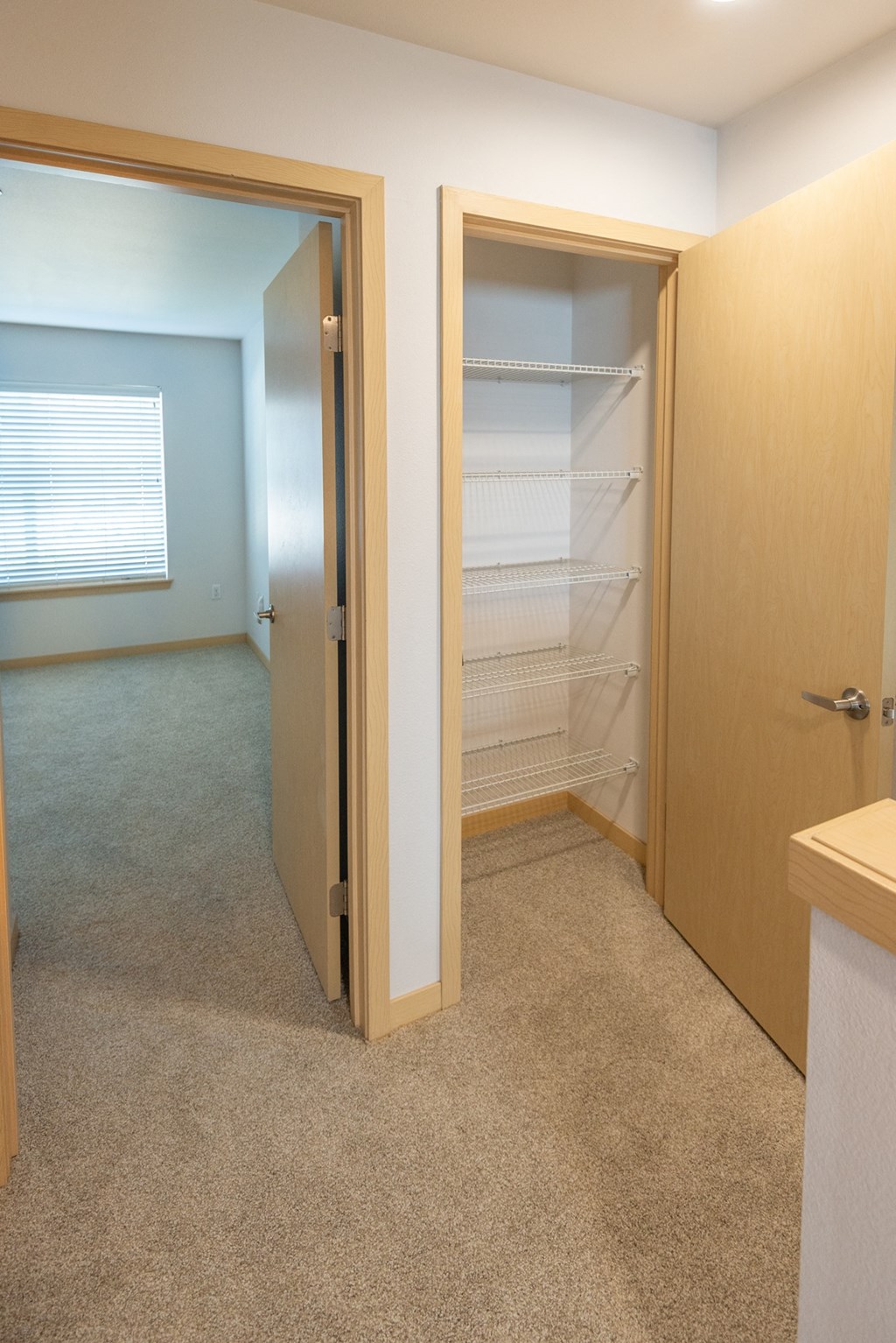 a walk in closet in a 555 waverly unit