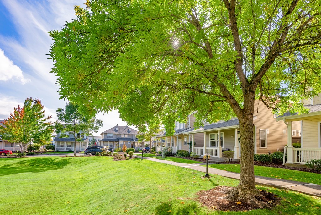 a tree in the middle of a lawn in front of houses