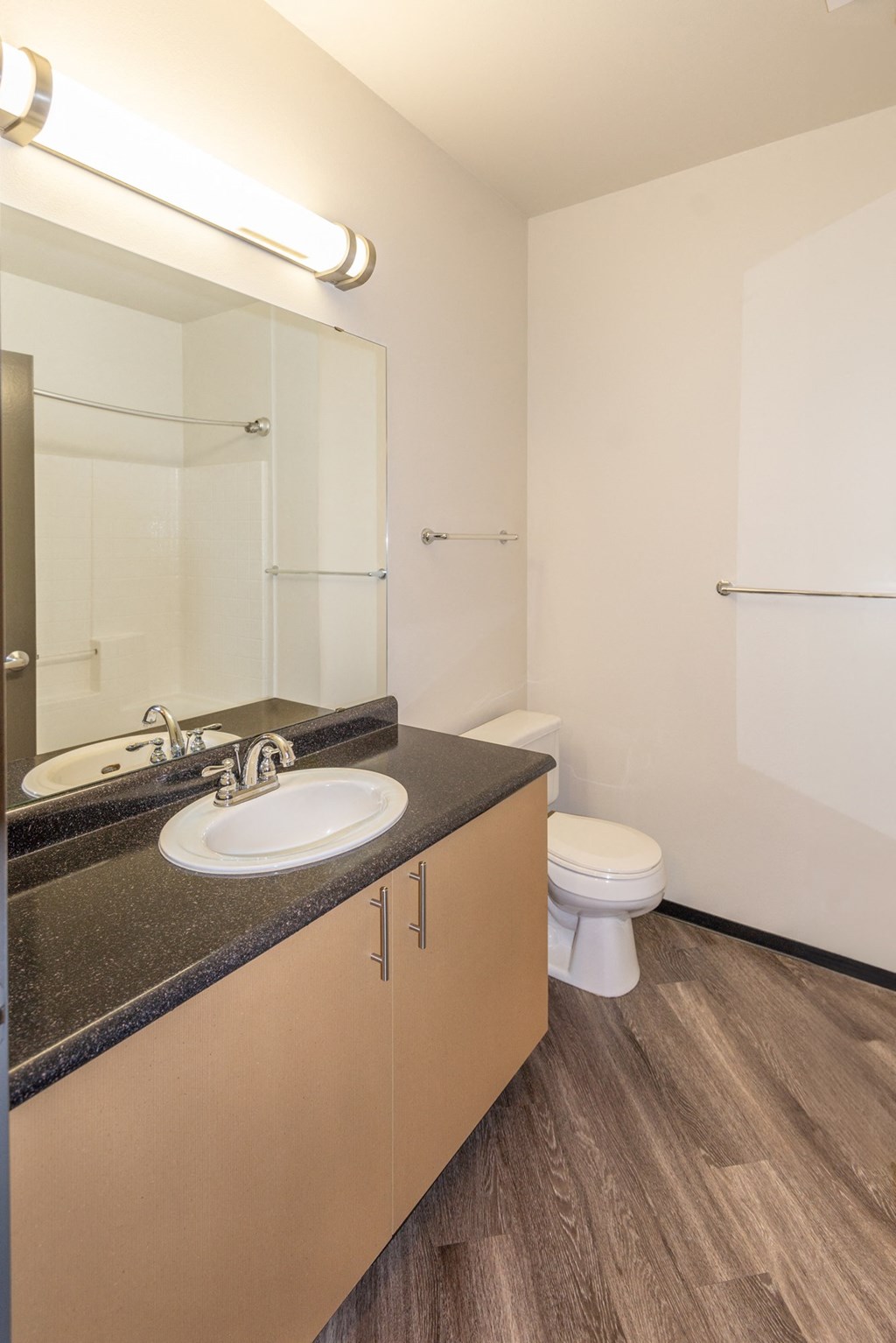 a bathroom with a sink and a toilet and a mirror