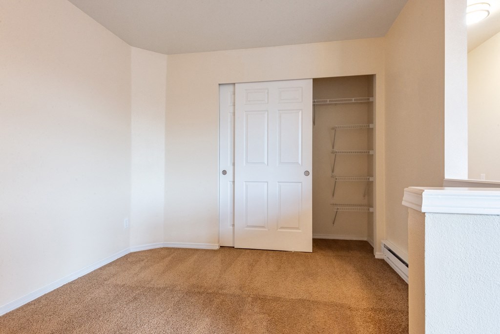 A room with a white door and a brown carpet.