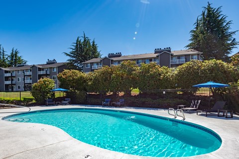 A swimming pool surrounded by a fence and trees.