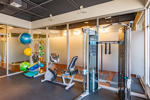 A gym with a treadmill, weights, and exercise balls.