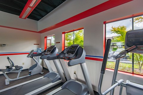 a gym with cardio equipment and windows at the enclave at woodbury