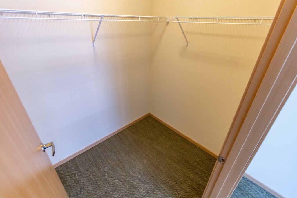 an empty closet with a door and a carpet