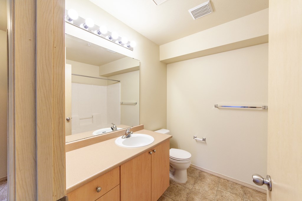 a bathroom with a toilet and a sink and a mirror