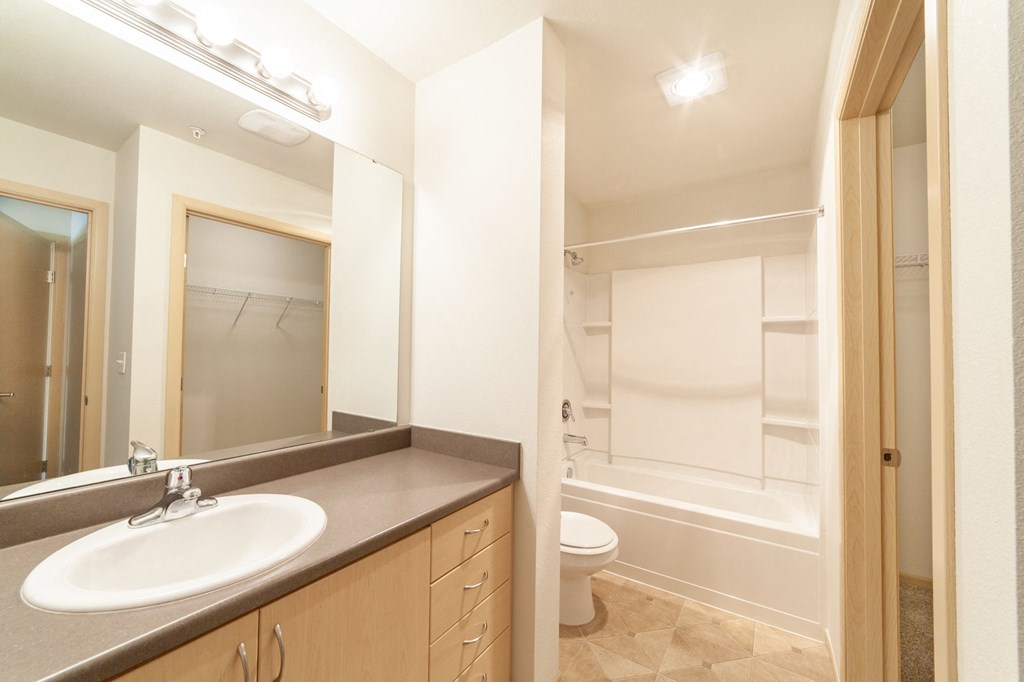 a bathroom with a sink and a toilet