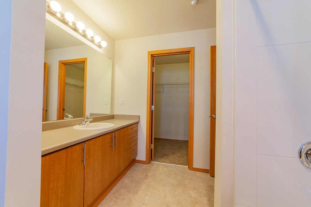a bathroom with a sink and mirror and a closet