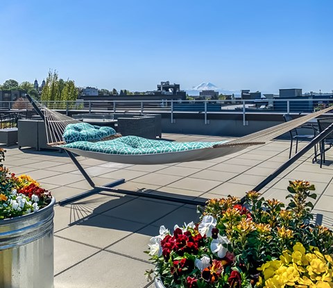 Beryl apartments Seattle - incredible rooftop deck