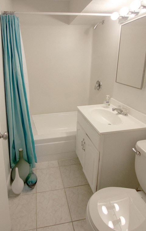 a bathroom with a sink toilet and bath tub and a shower curtain