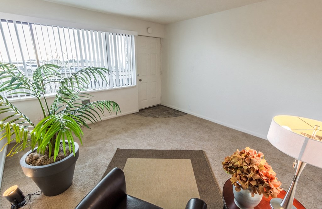 a living room with a large window and a potted plant