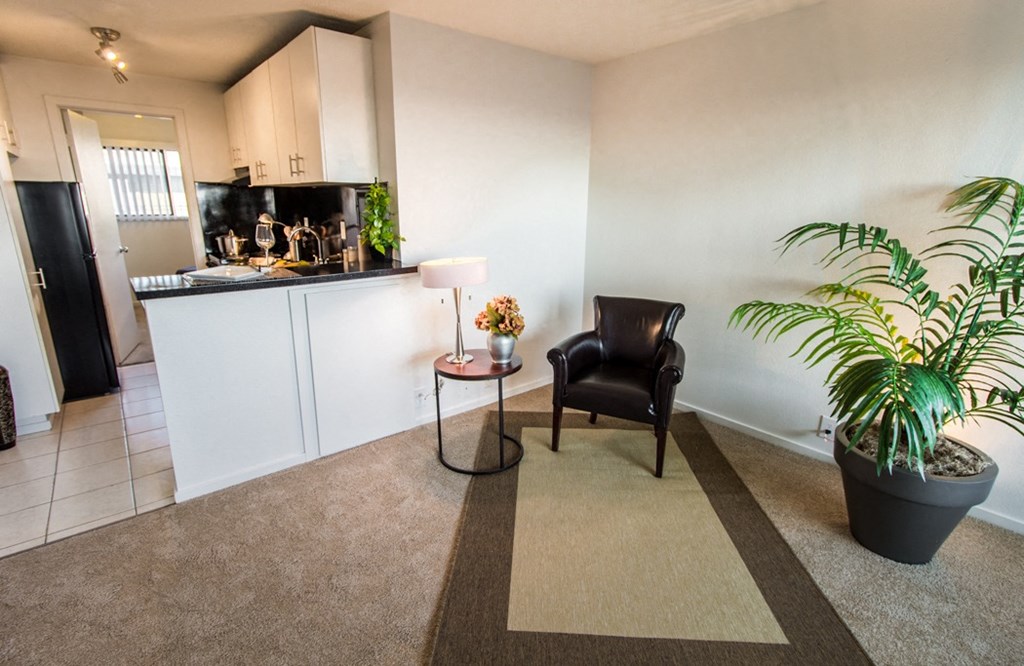 a living room with a kitchen and a potted plant