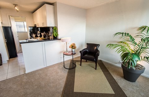 a living room with a kitchen and a potted plant