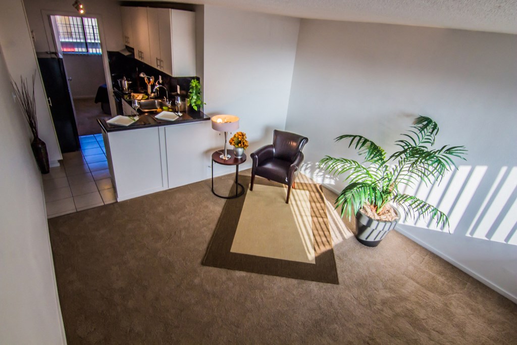 a living room with a kitchen and a potted plant