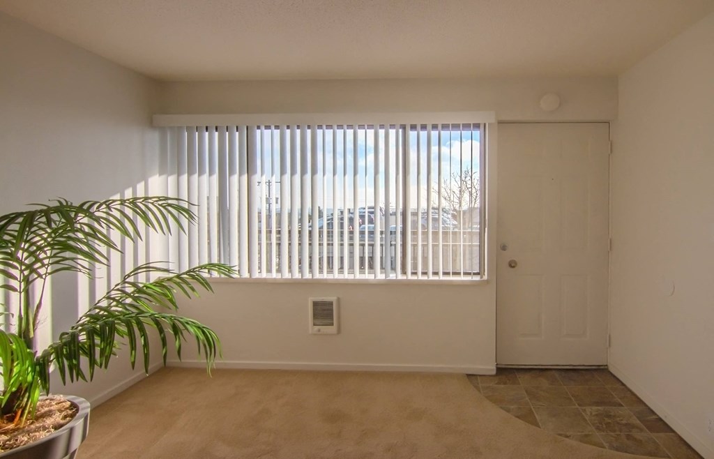 an empty living room with a large window and a plant