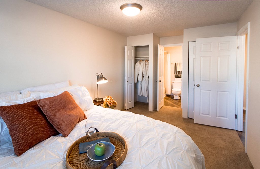 a bedroom with a bed and a bathroom with a closet