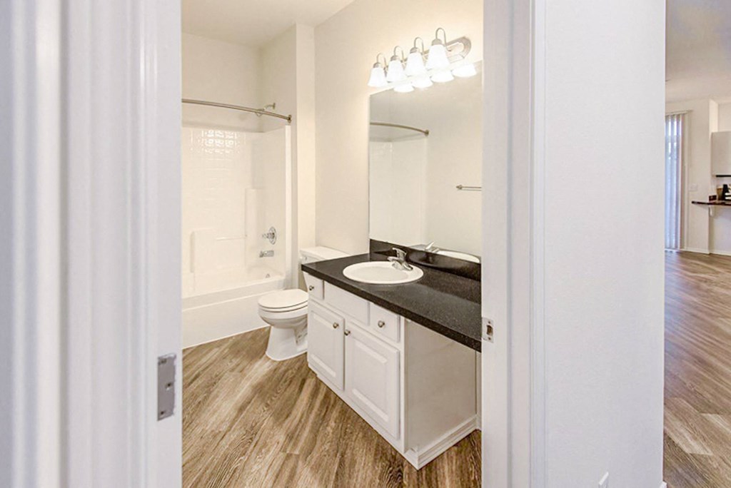 a bathroom with a sink and a toilet